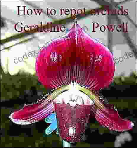 How To Repot Orchids Geraldine Powell