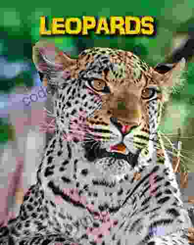 Leopards (Living in the Wild: Big Cats)