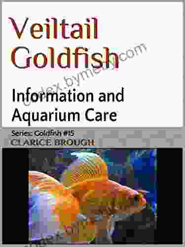 Veiltail Goldfish Clarice Brough